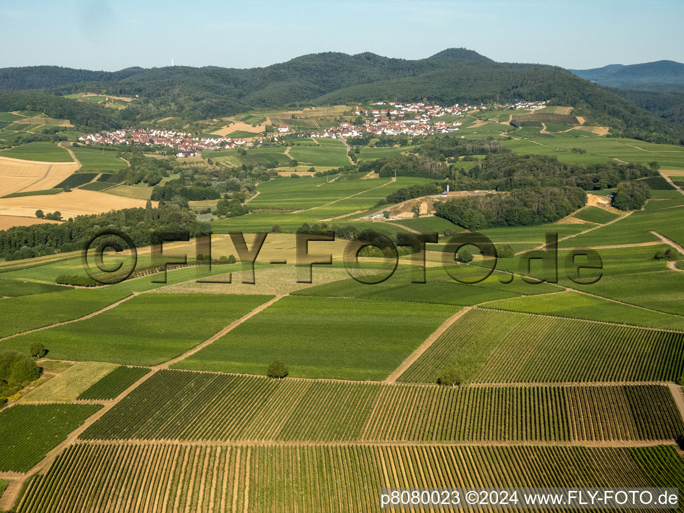 Quartier Gleiszellen in Gleiszellen-Gleishorbach dans le département Rhénanie-Palatinat, Allemagne d'un drone