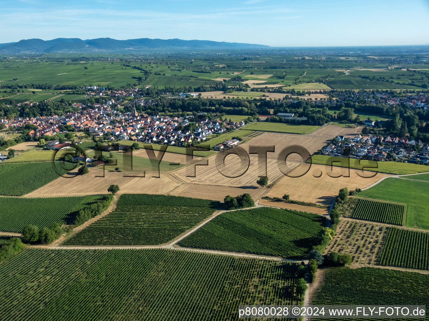 Vue aérienne de Du sud à le quartier Ingenheim in Billigheim-Ingenheim dans le département Rhénanie-Palatinat, Allemagne