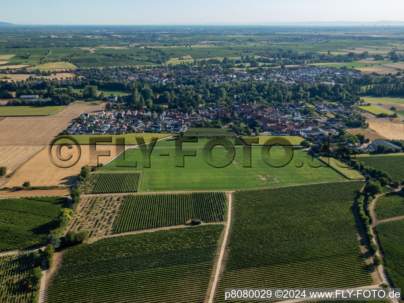 Quartier Mühlhofen in Billigheim-Ingenheim dans le département Rhénanie-Palatinat, Allemagne depuis l'avion