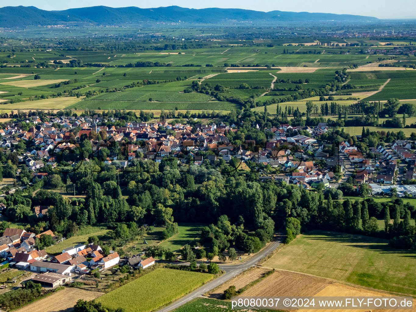 Quartier Billigheim in Billigheim-Ingenheim dans le département Rhénanie-Palatinat, Allemagne du point de vue du drone