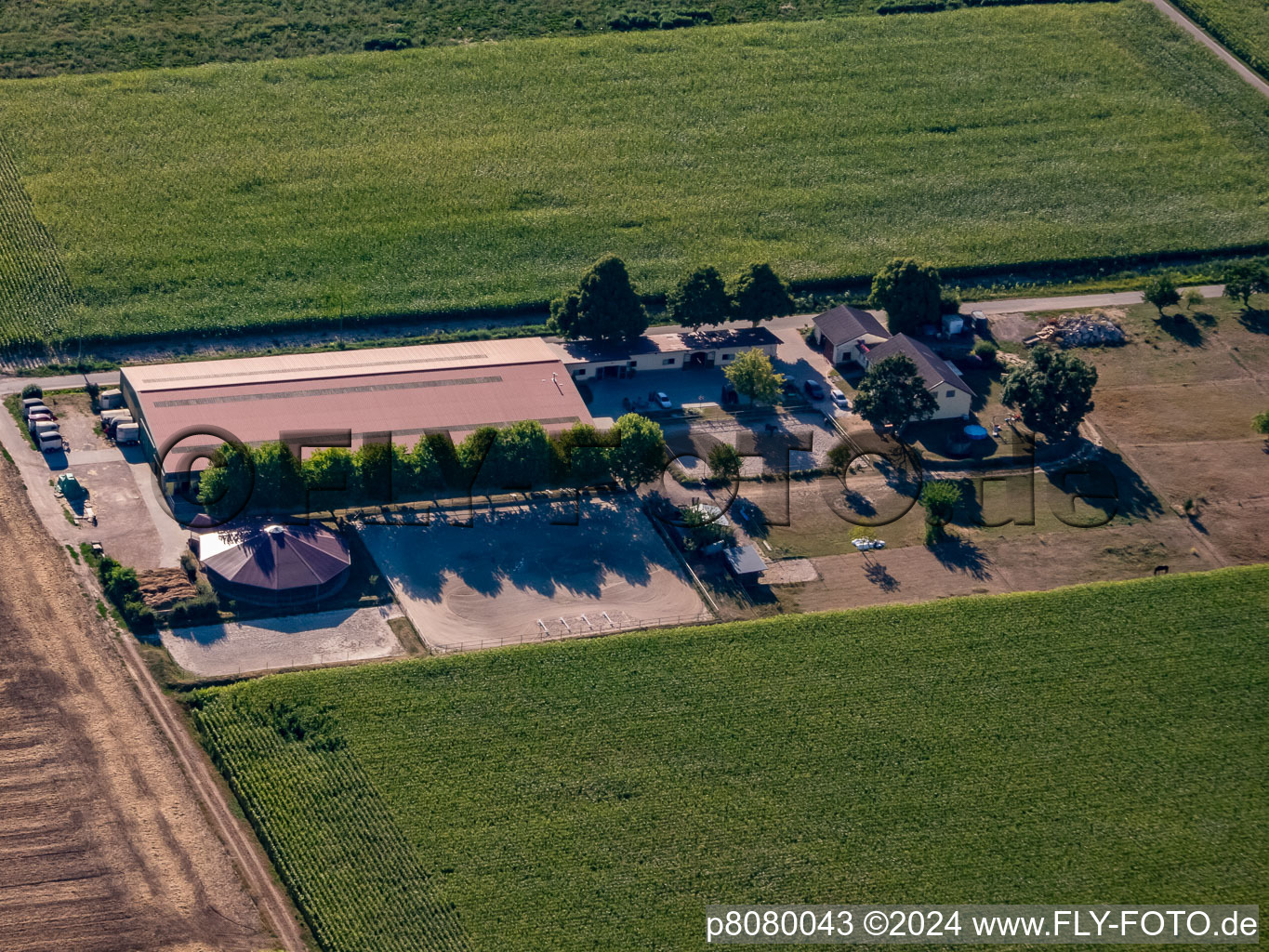 Photographie aérienne de Centre équestre du Fohlenhof à Steinweiler dans le département Rhénanie-Palatinat, Allemagne