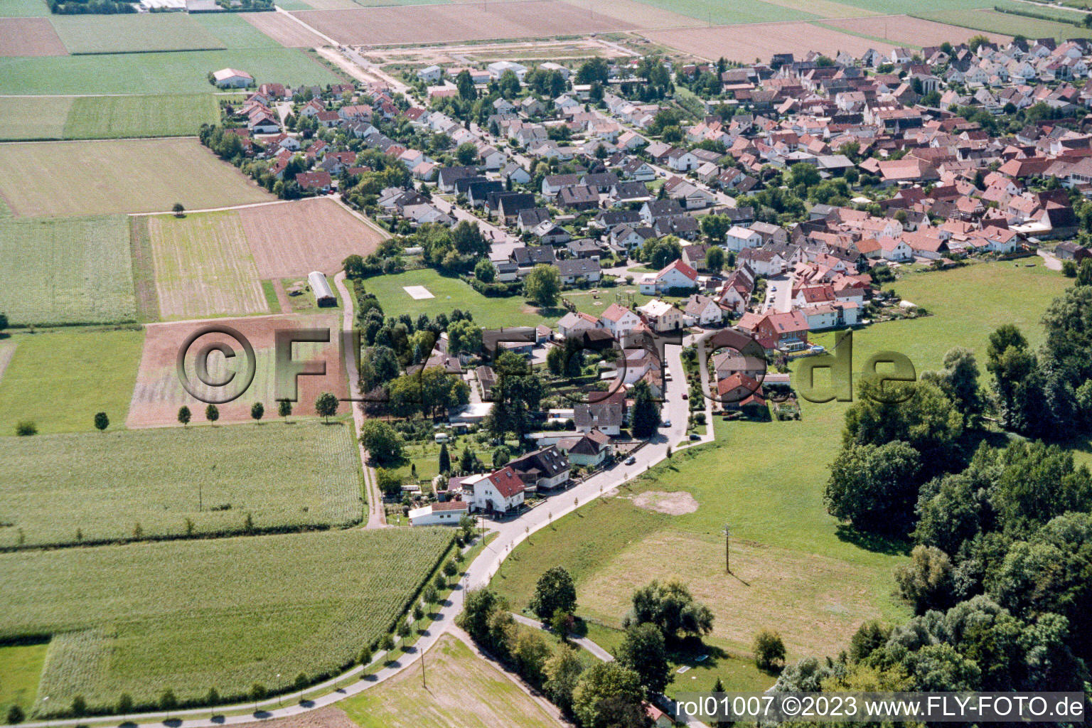 Vue aérienne de Du nord de la Niedergasse à Steinweiler dans le département Rhénanie-Palatinat, Allemagne
