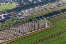 Vue aérienne de Champ photovoltaïque à Eddelak dans le département Schleswig-Holstein, Allemagne