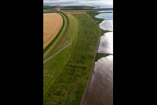 Vue aérienne de Barrage d'Eider avec du bétail à Wesselburenerkoog dans le département Schleswig-Holstein, Allemagne
