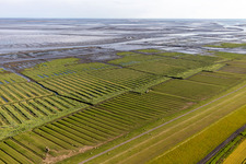 Vue aérienne de Mer des Wadden de la côte de la mer du Nord à la digue occidentale de Grothusenkoog à Tating dans le département Schleswig-Holstein, Allemagne