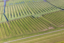 Vue aérienne de Ehstensiel à Tating dans le département Schleswig-Holstein, Allemagne