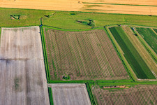 Vue aérienne de Structures des champs de légumes à Korndeich à le quartier Sandwehle in Garding dans le département Schleswig-Holstein, Allemagne