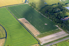 Vue aérienne de Labyrinthe de maïs Kühl à le quartier Hülkenbüll in Garding dans le département Schleswig-Holstein, Allemagne
