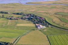Vue aérienne de Quartier Olversum in Tönning dans le département Schleswig-Holstein, Allemagne