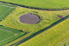 Vue aérienne de Étang d'abreuvement pour le bétail à Wesselburenerkoog dans le département Schleswig-Holstein, Allemagne