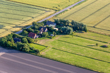 Anciennes fermes de gardiens de digues sur la Schülpersieler Straße à Wesselburenerkoog dans le département Schleswig-Holstein, Allemagne d'en haut