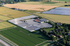 Vue aérienne de Toits en verre dans les rangées de serres pour la culture de légumes par Diener Hermannerweide à le quartier Schülperweide in Schülp dans le département Schleswig-Holstein, Allemagne