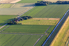 Vue aérienne de Fermes derrière la digue à le quartier Schülperweide in Wesselburenerkoog dans le département Schleswig-Holstein, Allemagne