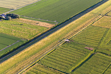 Vue aérienne de Fermes derrière la digue à Wesselburenerkoog dans le département Schleswig-Holstein, Allemagne