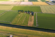 Vue aérienne de Rue Schülpersieler à le quartier Schülperweide in Wesselburenerkoog dans le département Schleswig-Holstein, Allemagne