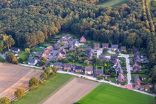 Vue aérienne de Chemin forestier à le quartier Eppendorf in Haltern am See dans le département Rhénanie du Nord-Westphalie, Allemagne