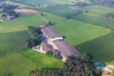 Vue aérienne de Harald Hying à Südlohn dans le département Rhénanie du Nord-Westphalie, Allemagne