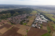 Vue aérienne de Quartier Hirschau in Tübingen dans le département Bade-Wurtemberg, Allemagne