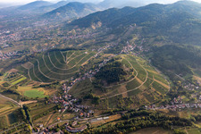 Vue aérienne de Vignobles de Bade à le quartier Waldmatt in Bühl dans le département Bade-Wurtemberg, Allemagne