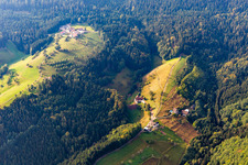 Vue aérienne de Ferme familiale et de la Forêt-Noire Felmeck à le quartier Löcherberg in Oppenau dans le département Bade-Wurtemberg, Allemagne