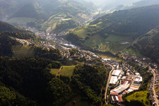 Vue aérienne de Surface commerciale avec Treyer Paletten GmbH à le quartier Bad Peterstal in Bad Peterstal-Griesbach dans le département Bade-Wurtemberg, Allemagne