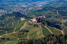 Vue aérienne de Domaine viticole et restaurants Château de Staufenberg à le quartier Heimbach in Durbach dans le département Bade-Wurtemberg, Allemagne