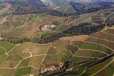 Vue aérienne de Établissement vinicole à le quartier Heimbach in Durbach dans le département Bade-Wurtemberg, Allemagne