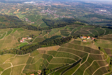 Vue aérienne de Vignobles du complexe viticole et du château de Staufenberg à le quartier Heimbach in Durbach dans le département Bade-Wurtemberg, Allemagne