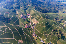 Vue aérienne de Quartier Sendelbach in Durbach dans le département Bade-Wurtemberg, Allemagne