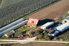 Vue aérienne de Zapf à Kandel dans le département Rhénanie-Palatinat, Allemagne
