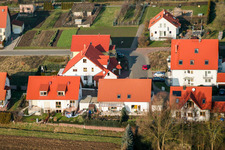Vue aérienne de Lièvre attrapant à Freckenfeld dans le département Rhénanie-Palatinat, Allemagne