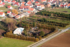 Vue aérienne de Nursery à Freckenfeld dans le département Rhénanie-Palatinat, Allemagne