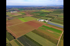 Vue aérienne de Ferme biologique à Winden dans le département Rhénanie-Palatinat, Allemagne