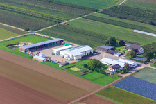 Vue aérienne de Ferme biologique à Winden dans le département Rhénanie-Palatinat, Allemagne