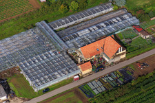 Vue aérienne de Jardinage à Winden dans le département Rhénanie-Palatinat, Allemagne