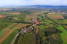 Vue aérienne de Vue du village depuis l'est à Hergersweiler dans le département Rhénanie-Palatinat, Allemagne