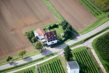 Vue aérienne de Route forestière à le quartier Heuchelheim in Heuchelheim-Klingen dans le département Rhénanie-Palatinat, Allemagne