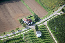 Vue aérienne de Route forestière à le quartier Heuchelheim in Heuchelheim-Klingen dans le département Rhénanie-Palatinat, Allemagne