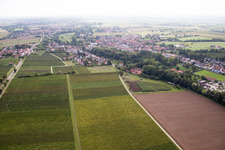 Quartier Ingenheim in Billigheim-Ingenheim dans le département Rhénanie-Palatinat, Allemagne hors des airs