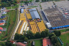Vue aérienne de Engel & Engel GmbH | Commerce de véhicules utilitaires, de chariots élévateurs et d'engins de chantier et immobilier dans le centre-ville du Palatinat-Sud à Rohrbach dans le département Rhénanie-Palatinat, Allemagne