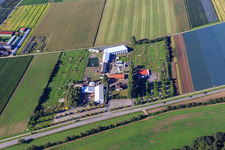 Vue aérienne de Golf à pied Adamshof à Kandel dans le département Rhénanie-Palatinat, Allemagne