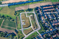 Vue aérienne de Nouvelle zone de développement Gustav-Hertz-Straße à Brühl dans le département Bade-Wurtemberg, Allemagne