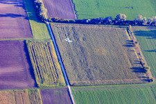 Vue aérienne de Avions de sport approchant l'aérodrome de Herrenteich à Hockenheim dans le département Bade-Wurtemberg, Allemagne