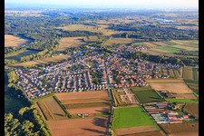 Vue aérienne de Bellheimerstraße vue du nord à Hördt dans le département Rhénanie-Palatinat, Allemagne