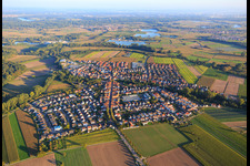 Vue aérienne de Rülzheimer Straße depuis le nord-ouest à Kuhardt dans le département Rhénanie-Palatinat, Allemagne