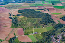 Photographie aérienne de Quartier Dertingen in Wertheim dans le département Bade-Wurtemberg, Allemagne