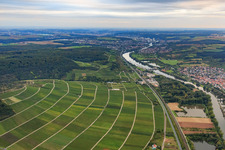 Vue aérienne de Vignoble franconien « Scharlachberg » au-dessus du Main à Thüngersheim dans le département Bavière, Allemagne