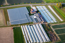 Vue aérienne de Magasin à la ferme avec rangées de serres pour la culture de légumes (Palatinat) à le quartier Herxheim in Herxheim bei Landau dans le département Rhénanie-Palatinat, Allemagne