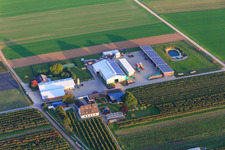 Photographie aérienne de Ferme biologique à Winden dans le département Rhénanie-Palatinat, Allemagne
