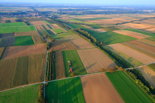 Aérodrome modèle du club de modélisme Freckenfeld eV du sud-ouest à Freckenfeld dans le département Rhénanie-Palatinat, Allemagne vue d'en haut